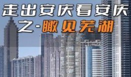 安庆头条最新爆料,揭秘最新爆料背后的惊人真相！