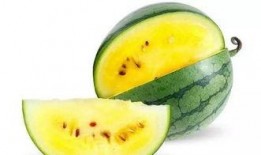 网红的吃瓜视频都在哪里